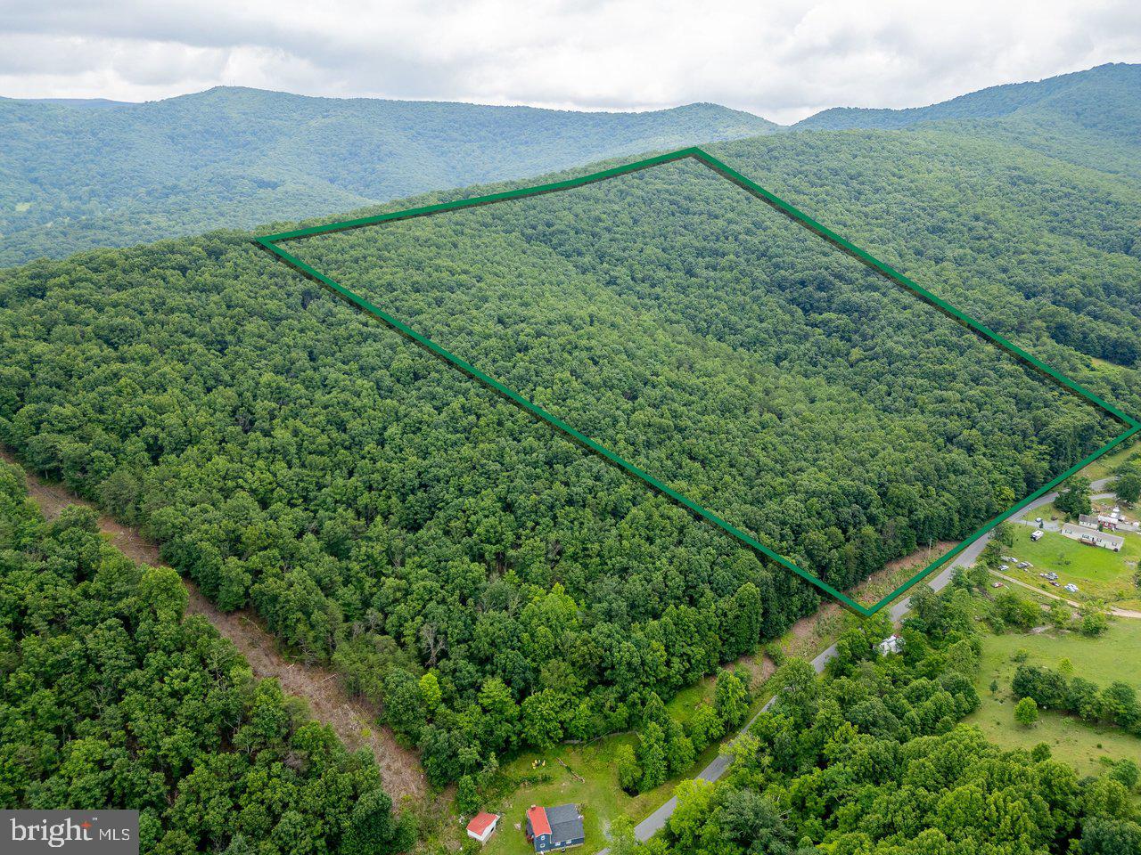 CUBBAGE HOLLOW RD, LOT 75 - 40.55 ACRES