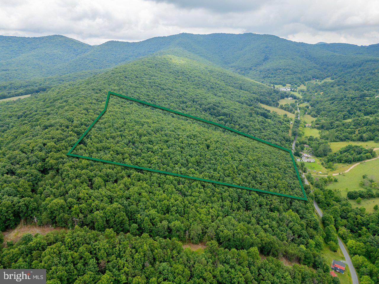 CUBBAGE HOLLOW RD, LOT 75 - 40.55 ACRES