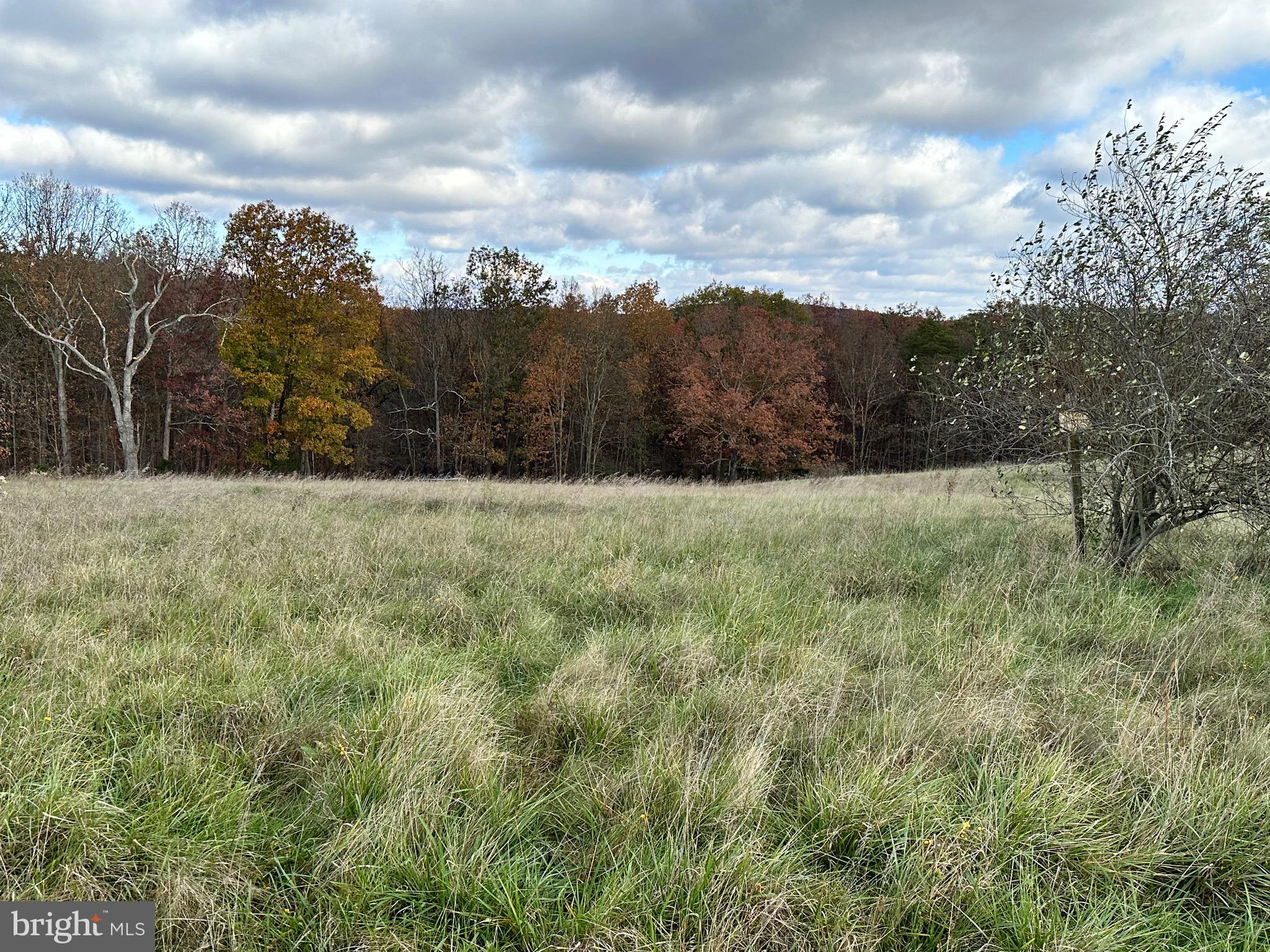 LOOKING FOR THE PERFECT BUILDING SITE? NICE LEVEL BUILDING LOT CENTRALLY LOCATED BETWEEN KEYSER AND FORT ASHBY. WELL ESTABLISHED SUBDIVISION. WONDERFUL MOUNTAIN AND PASTORIAL VISTAS CONVEY! SENSIBLE COVENANTS TO PROTECT YOUR INVESTMENT. YEAR ROUND MAINTAINED ROADS. PUBLIC WATER WILL BE AVAILABLE SOON. ROAD FRONTAGE ON 2 ROADS. GENTLY SLOPED TO LEVEL LOT. SEVERAL BUILDING SITES TO CHOOSE FROM. PRIVACY FOLLAGE IN REAR OF LOT.