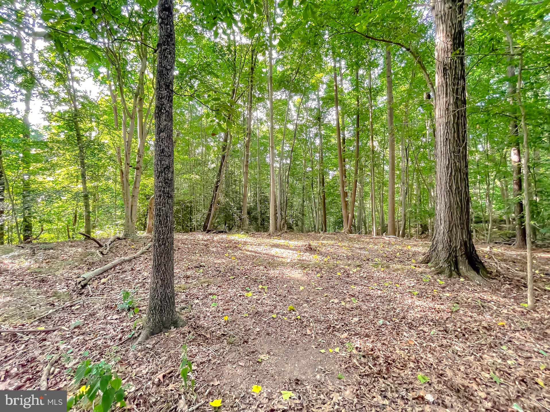 PERSIMMON HILLS - Residential