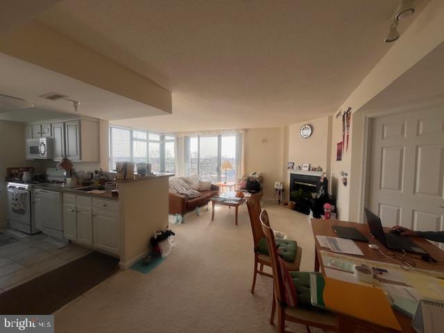 GALLERY AT WHITE FLINT - Residential