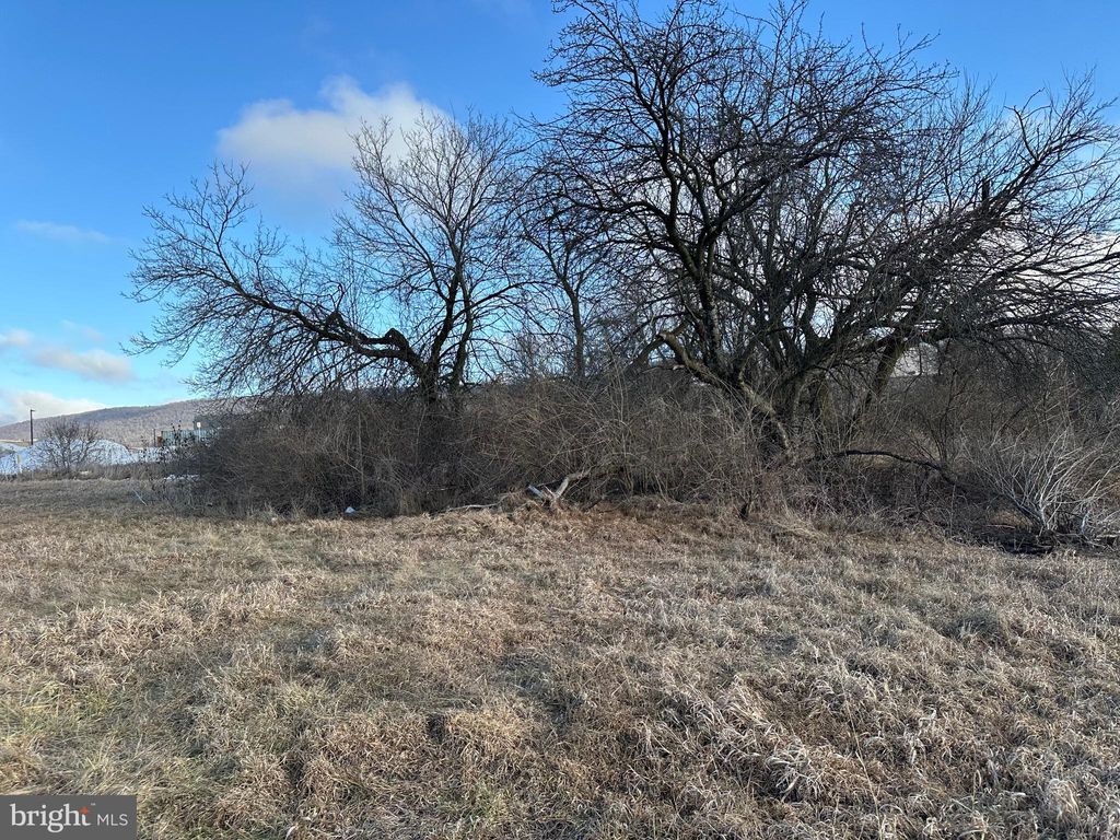 Photo of On Dreibelbis St, STATE COLLEGE, PA 16801 (MLS # PACE2517728)