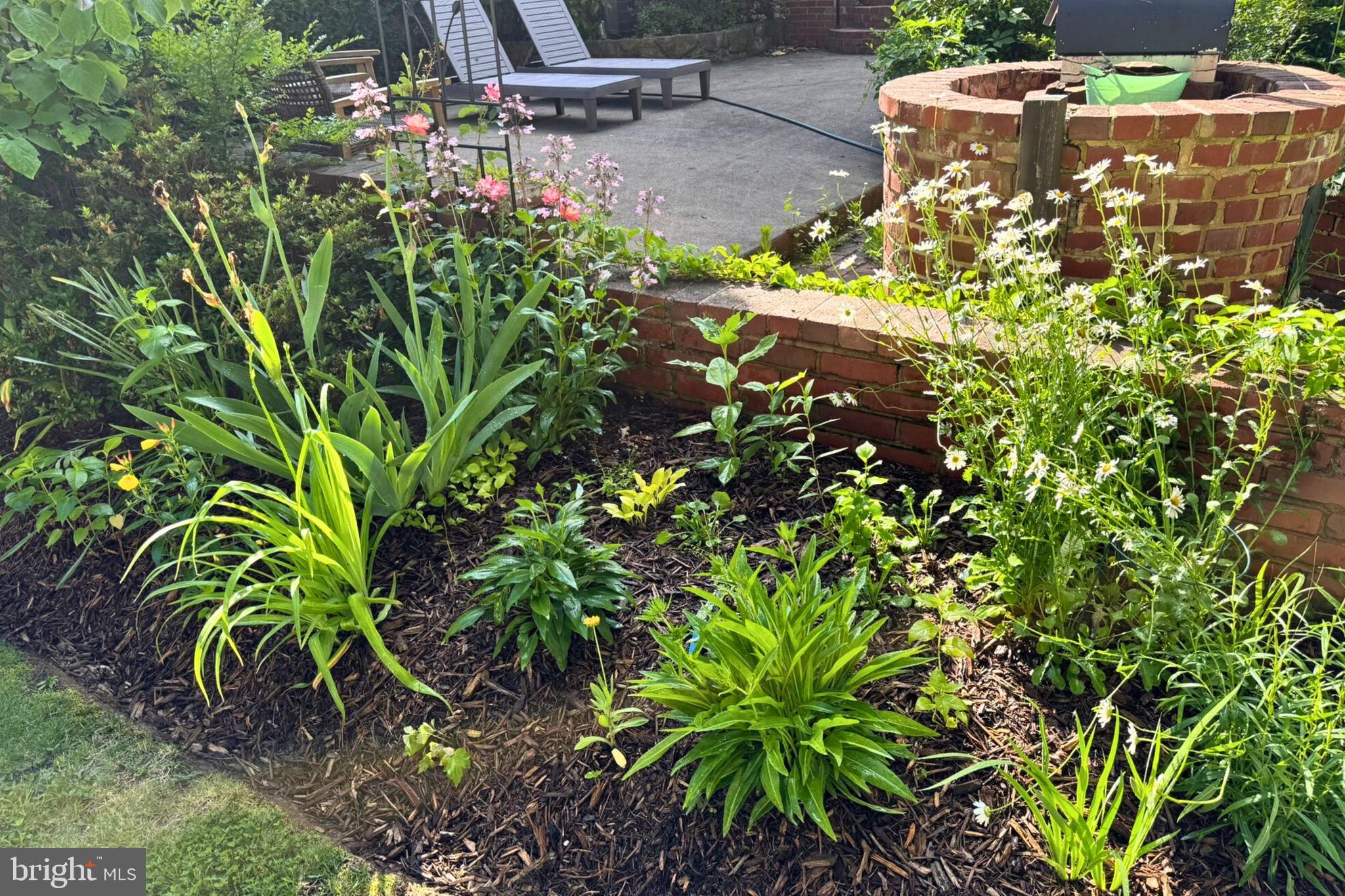 CARDINAL FOREST - Residential