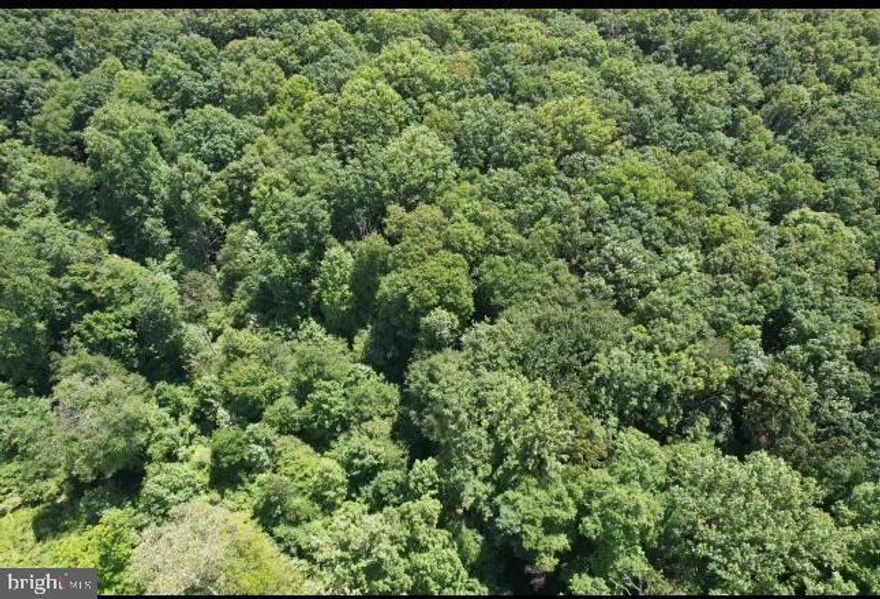 "Buy dirt" they say. This peaceful 10+ acre wooded lot in Earl township is full of dirt and mature trees.  Wildlife abounds and the current owner says the sunsets from the top of the hill are…amazing! Earl Township offers many great benefits to it's residents and property owners which include free trash collection , no municipal/local property taxes and money towards septic system clean outs every so many years, see Township for more details.  An overall rare find in the Boyertown School District and likely everything you’ve been waiting for. IMPORTANT NOTE: PLEASE DO NOT WALK PROPERTY without an approved appointment.