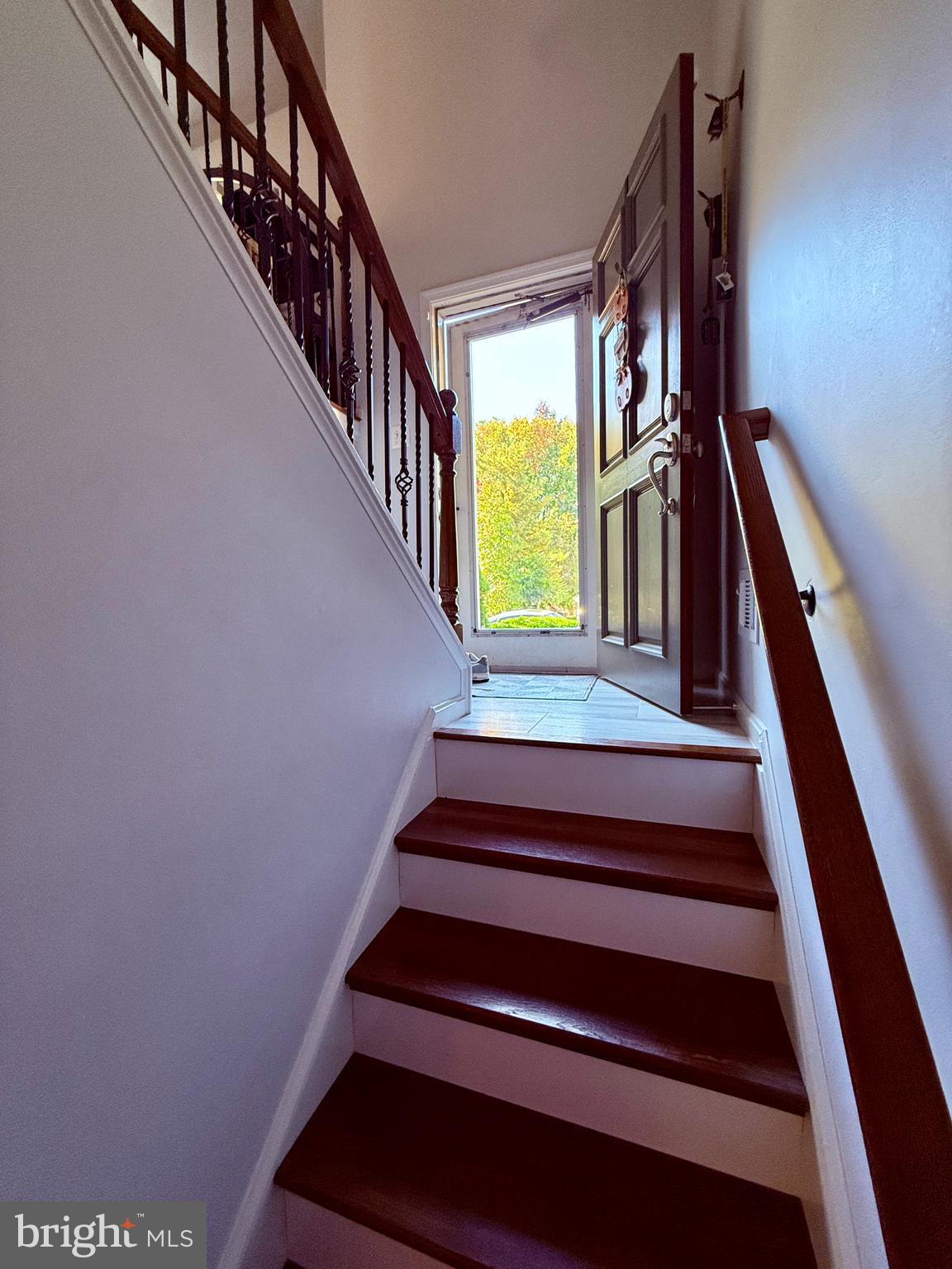 SOUTH KINGS FOREST - Residential Lease