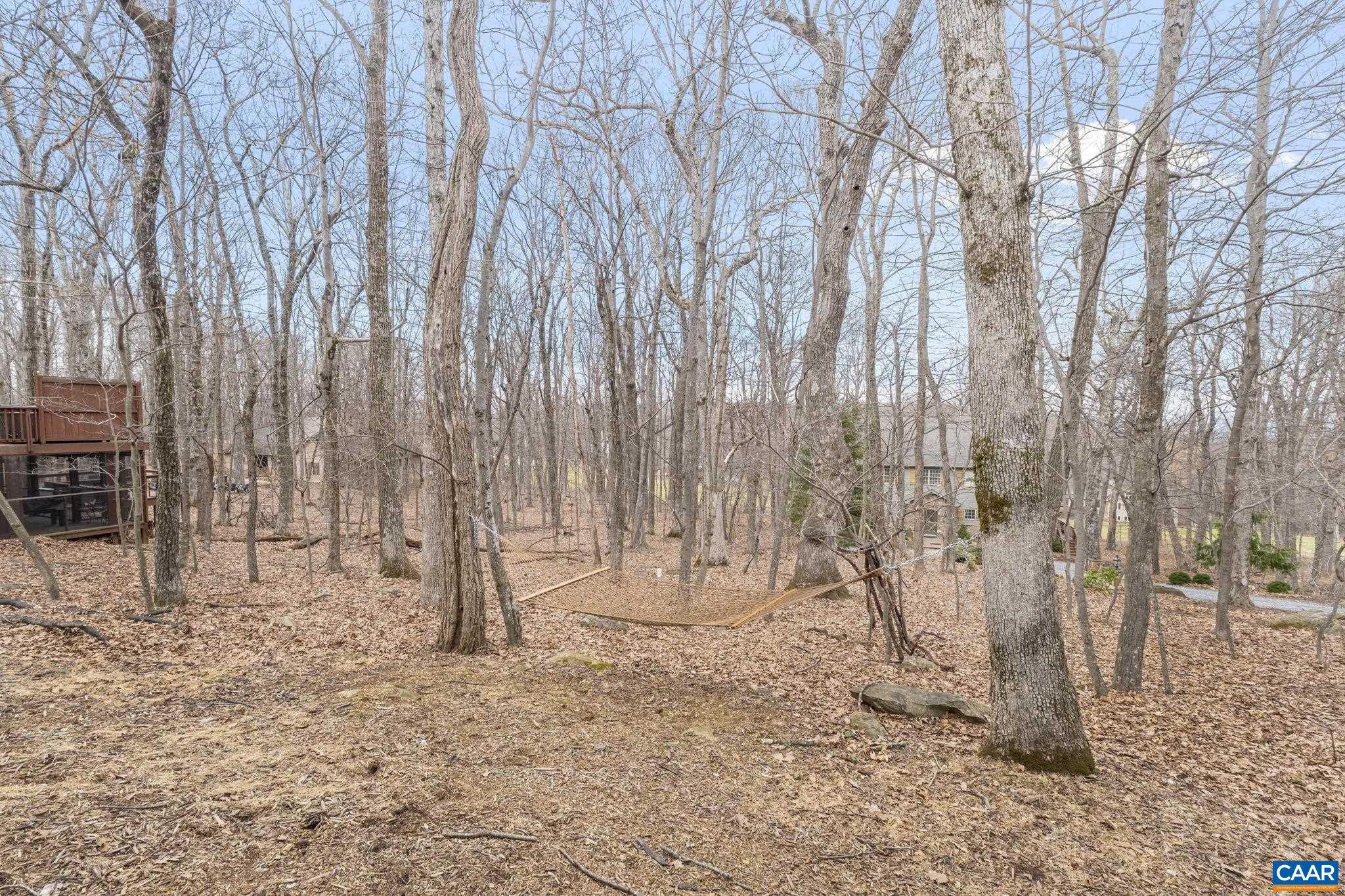 WINTERGREEN RESORT - Residential