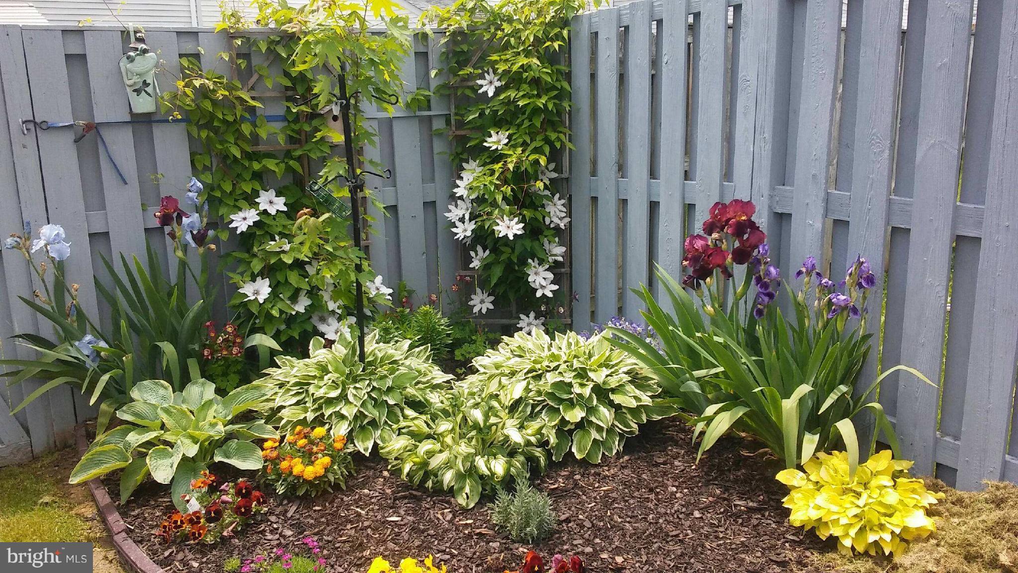 VILLAGE OF PAWNEE - Residential