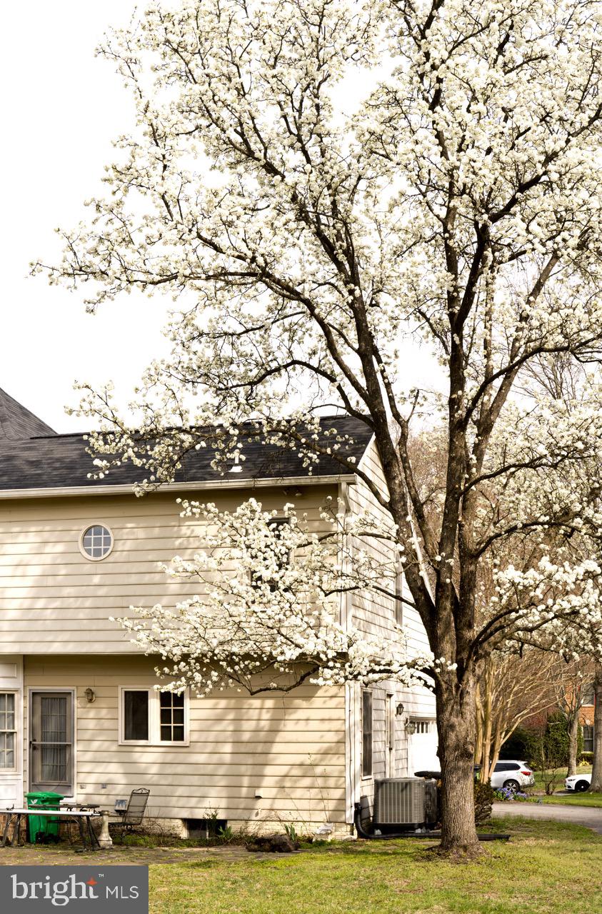 FORESTGATE - Residential