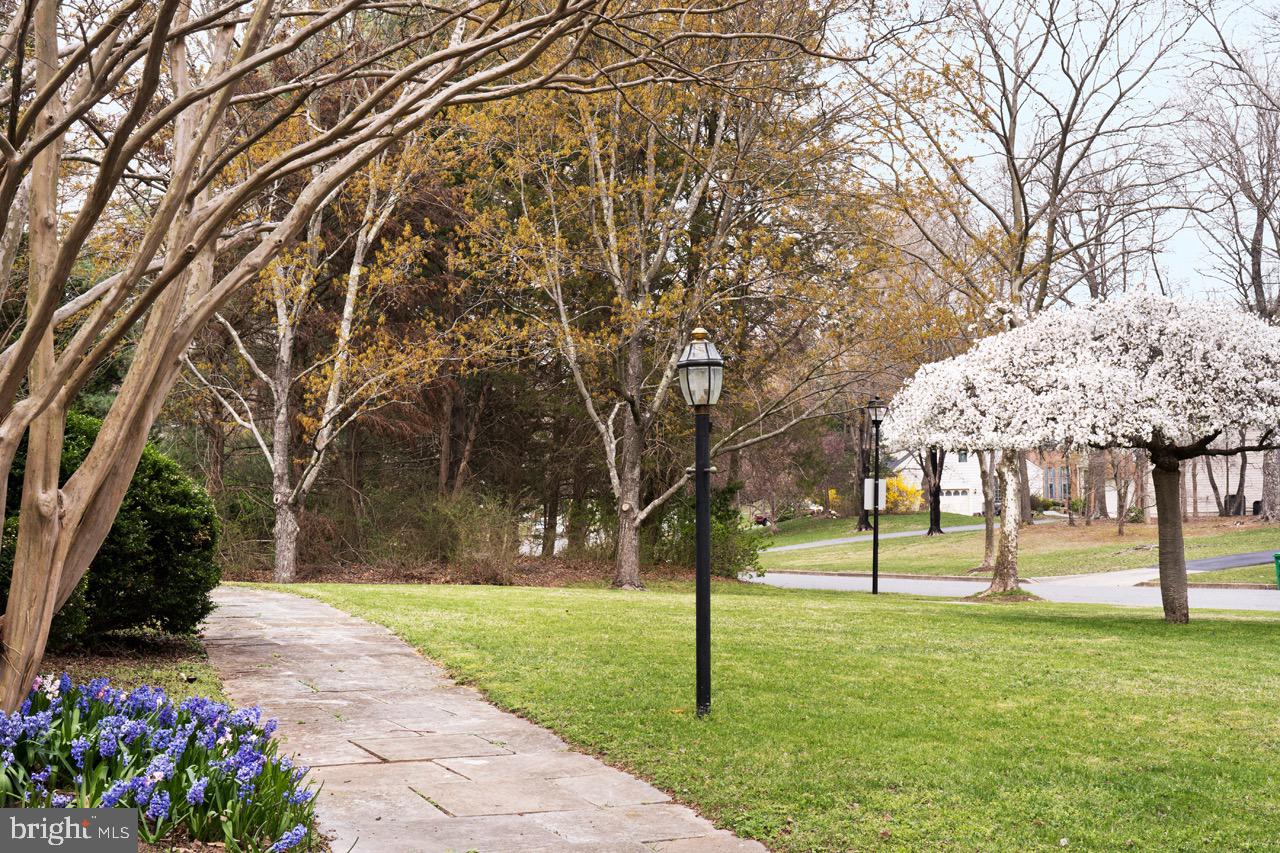FORESTGATE - Residential