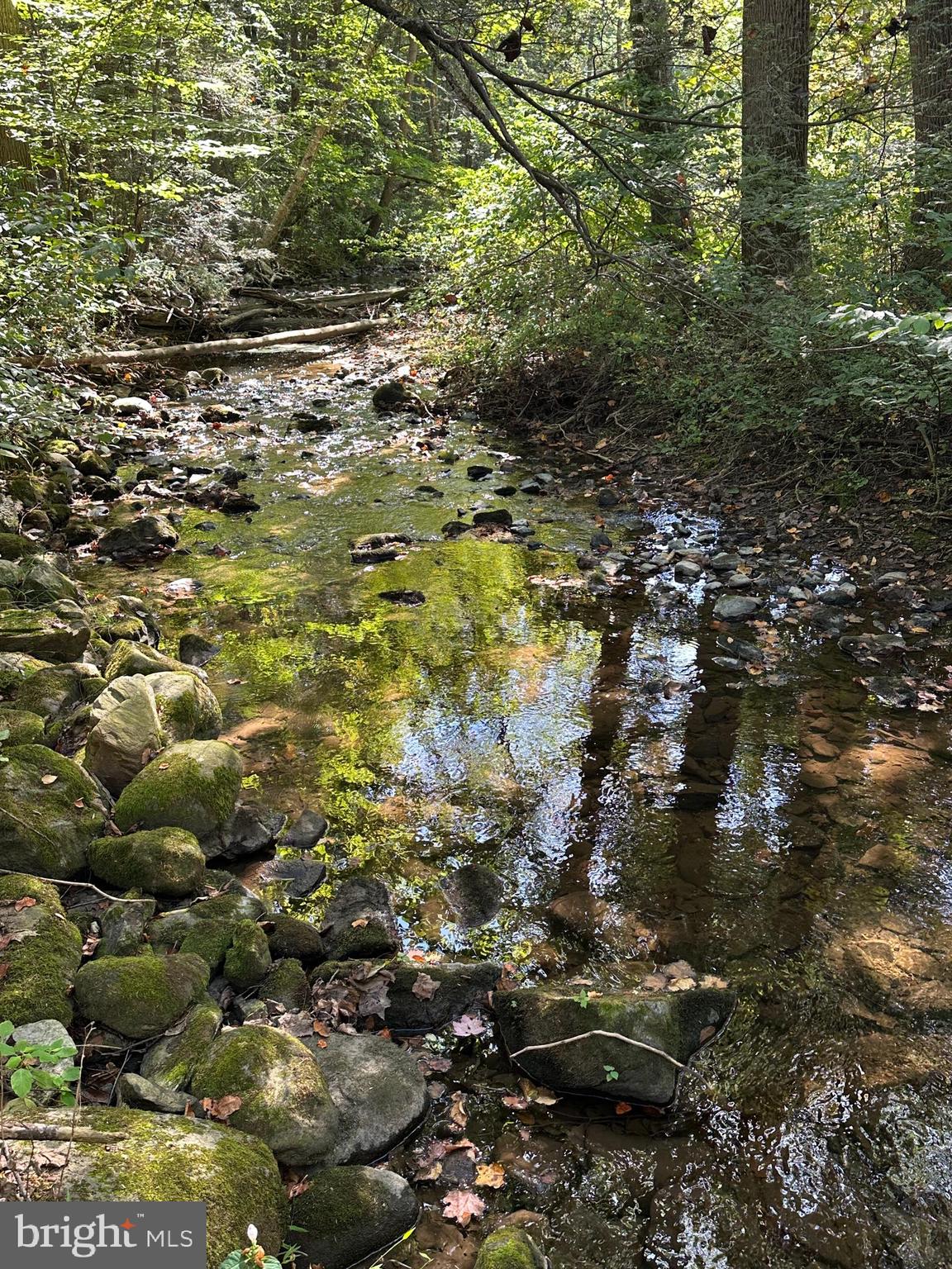 FRANKLIN TOWNSHIP - Residential