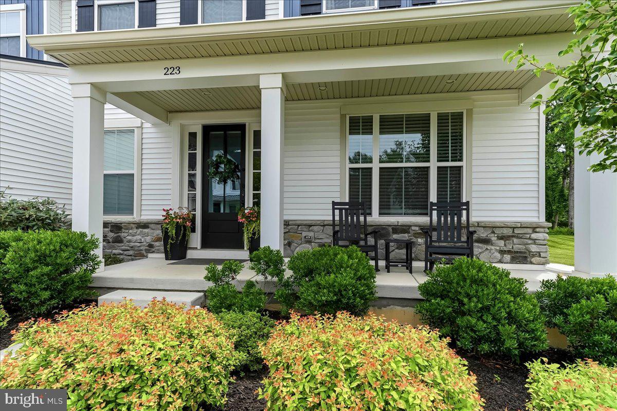223 LILY LANE