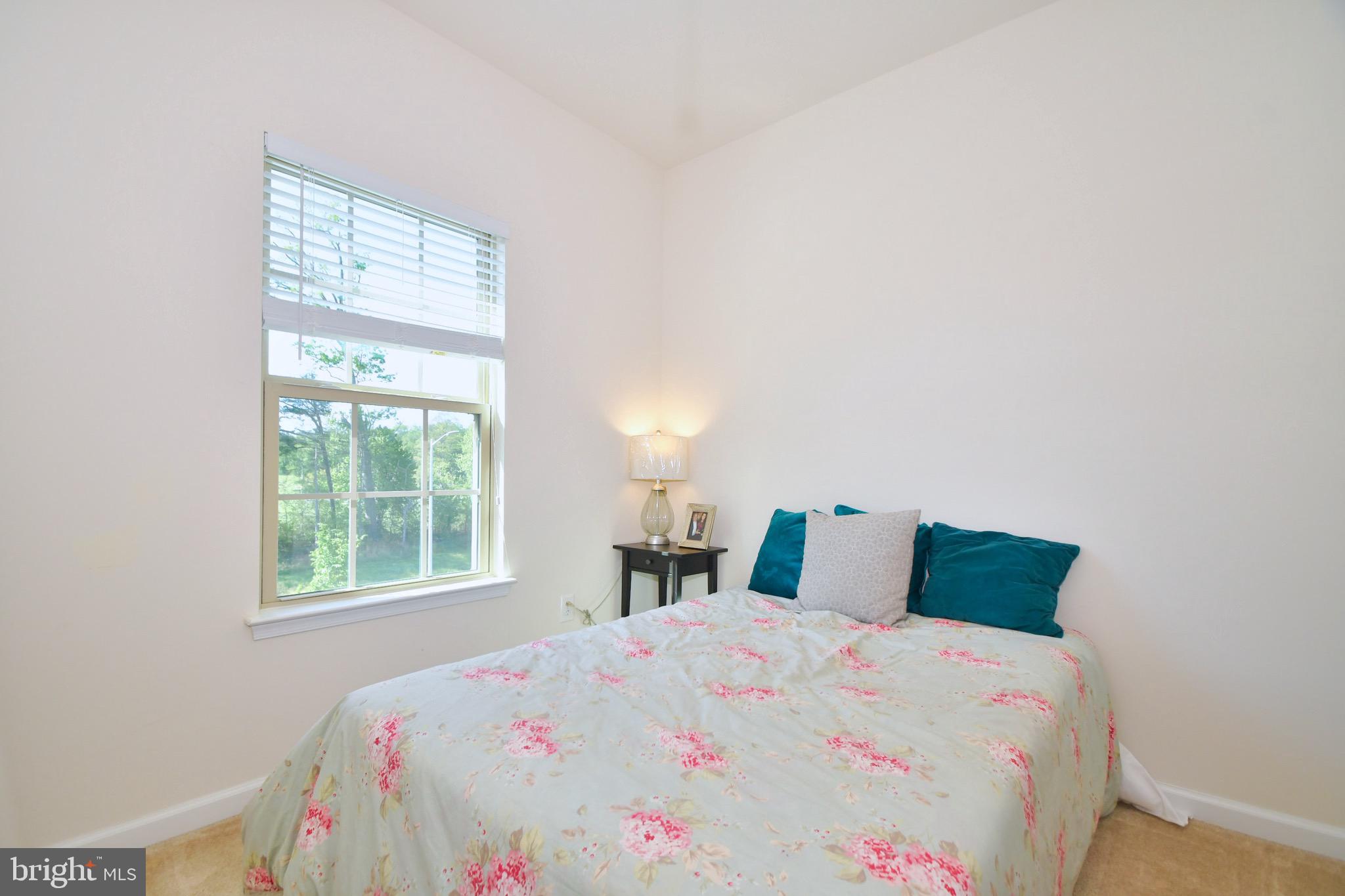 PRESERVE AT WINDLASS RUN - Residential