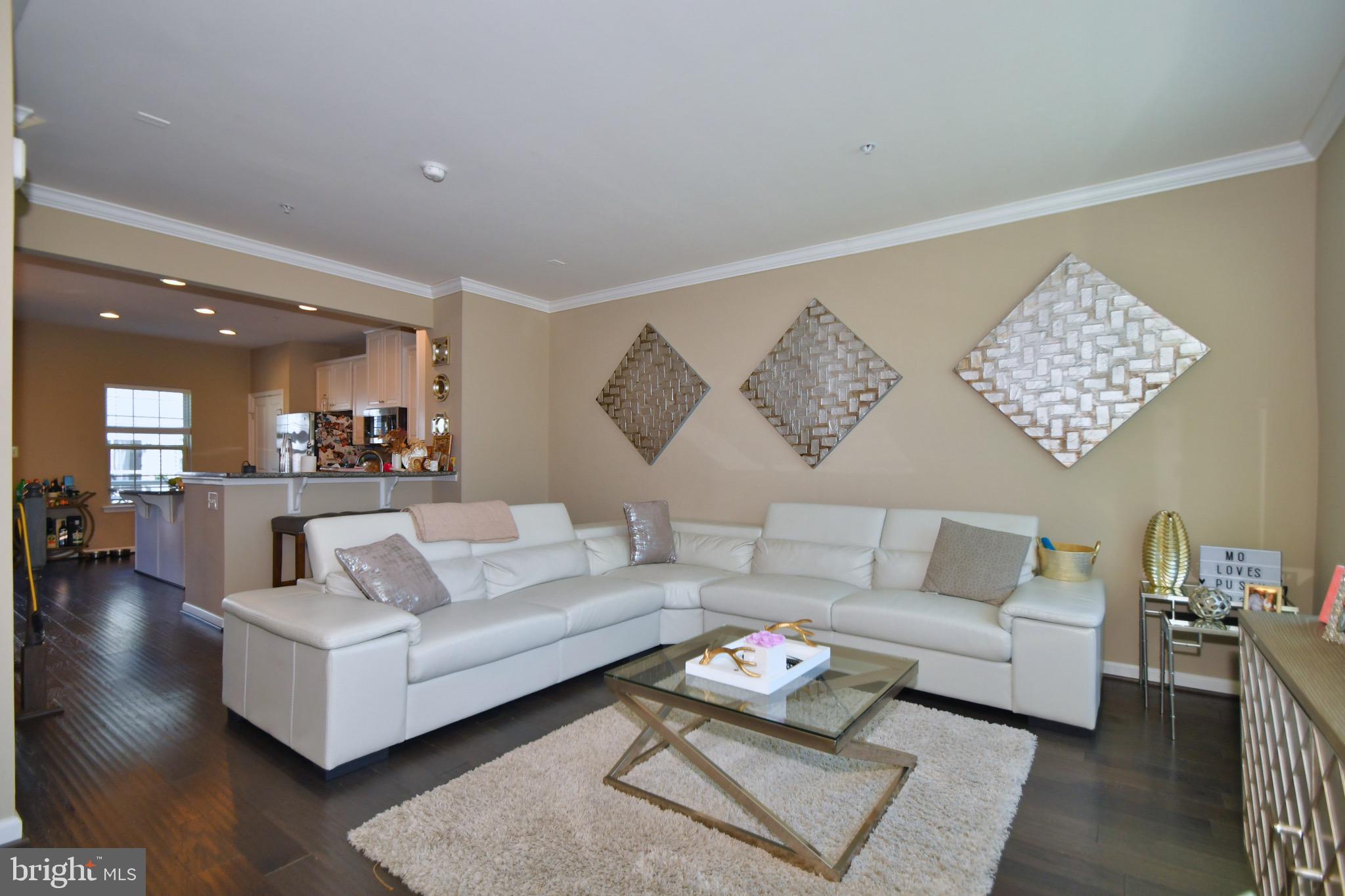 PRESERVE AT WINDLASS RUN - Residential