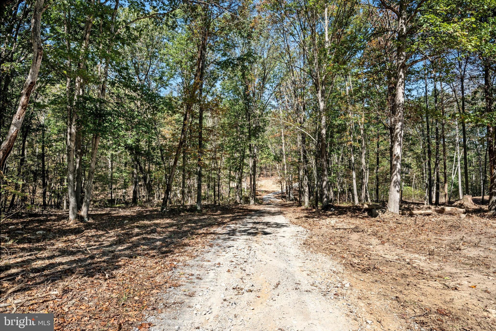 LOT 1 BACK CREEK RD