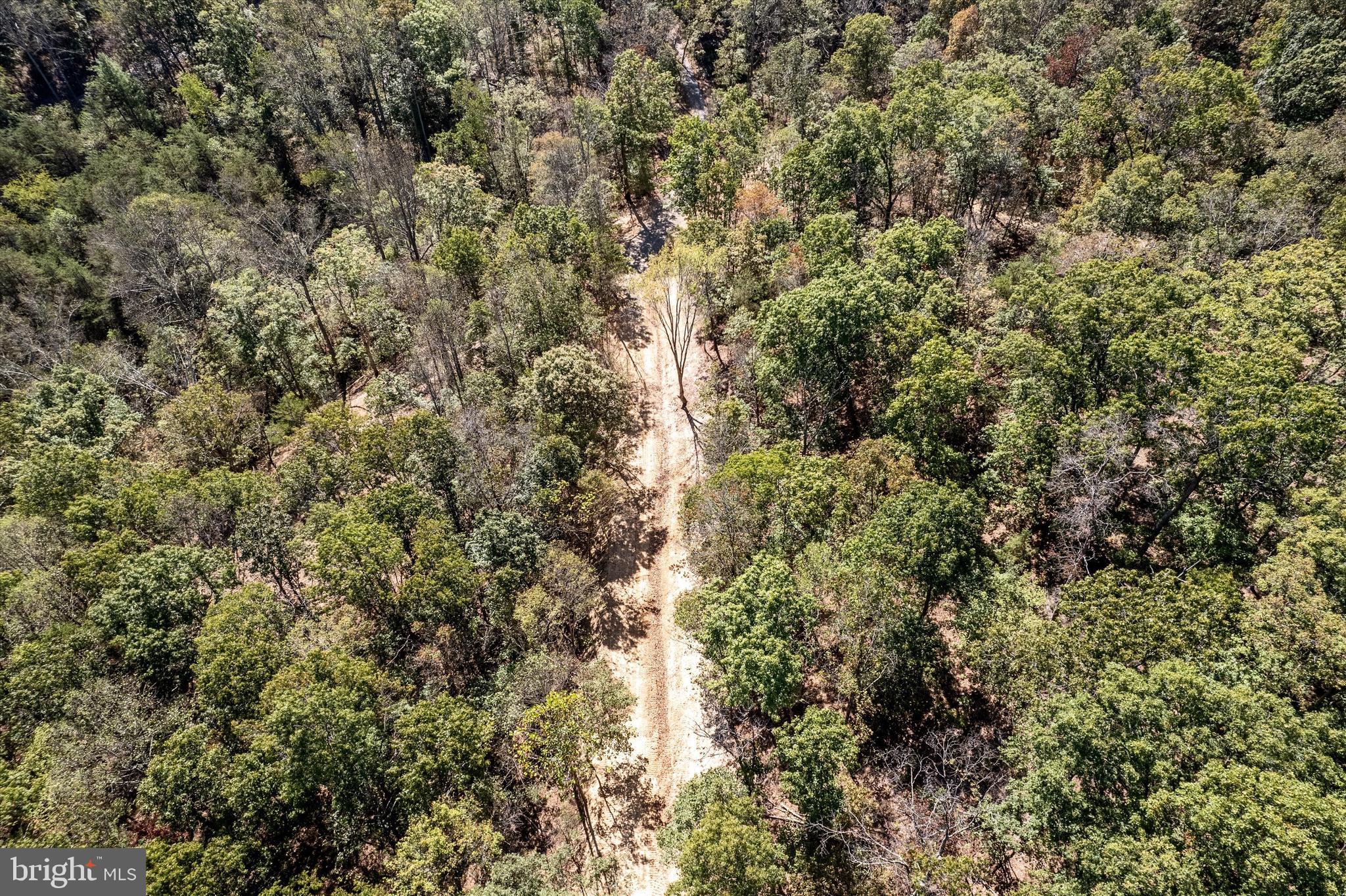 LOT 1 BACK CREEK RD