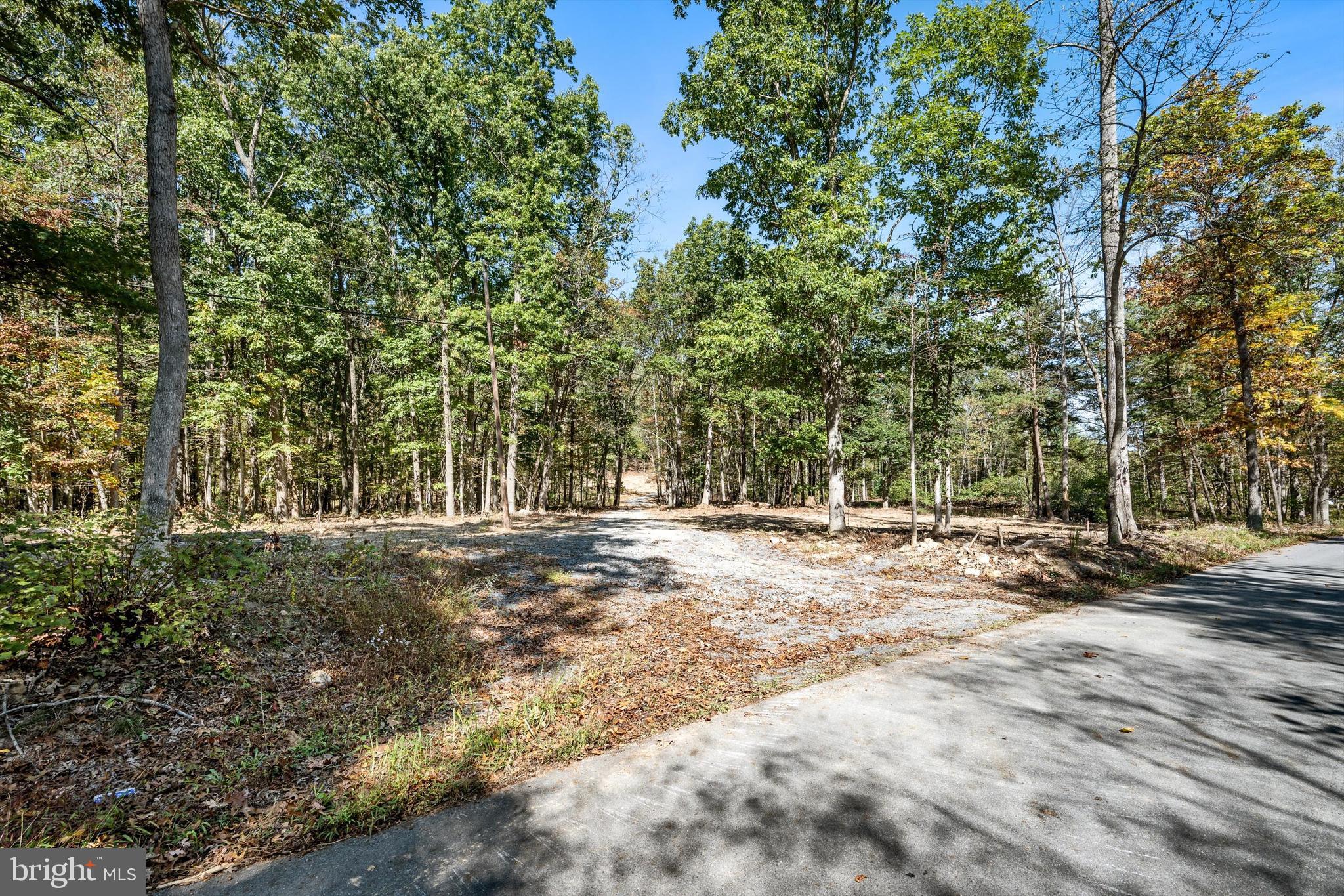 LOT 1 BACK CREEK RD