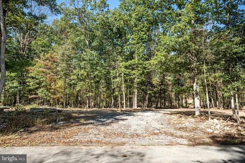 LOT 1 BACK CREEK RD GORE VA 22637