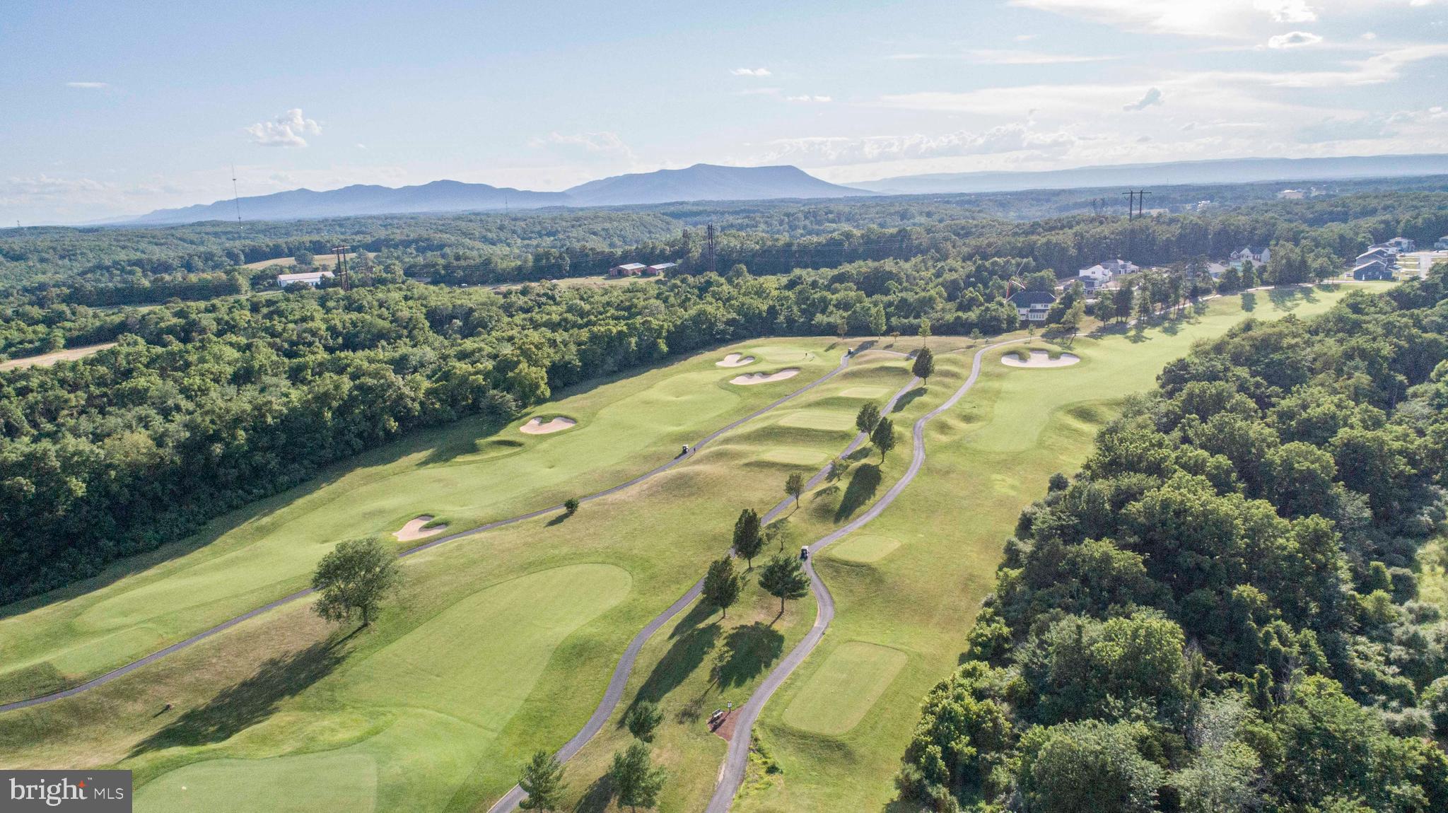 BLUE RIDGE SHADOWS - Residential