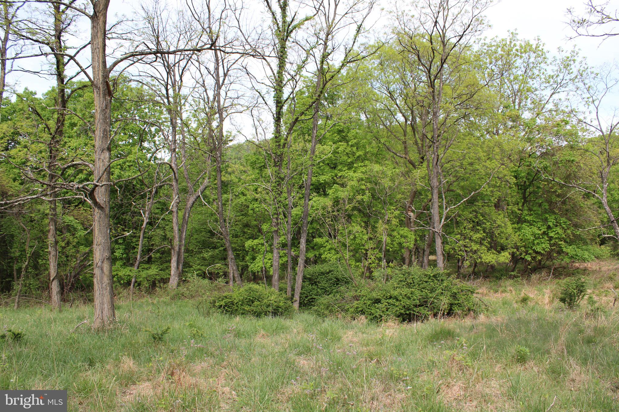 DEERFIELD HIGHLANDS - Land