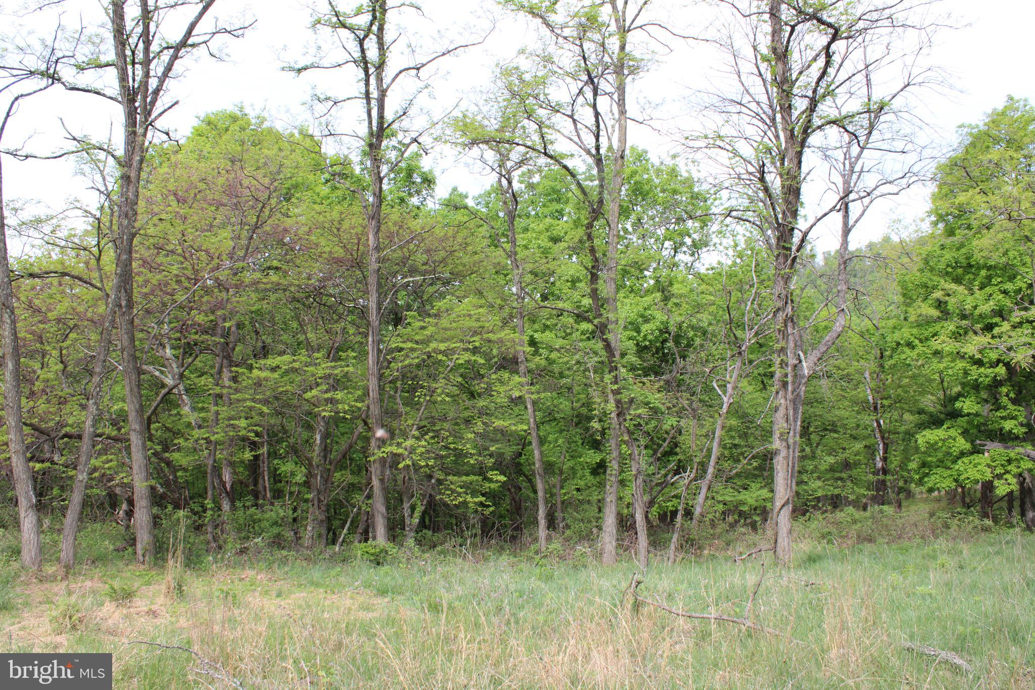 DEERFIELD HIGHLANDS - Land