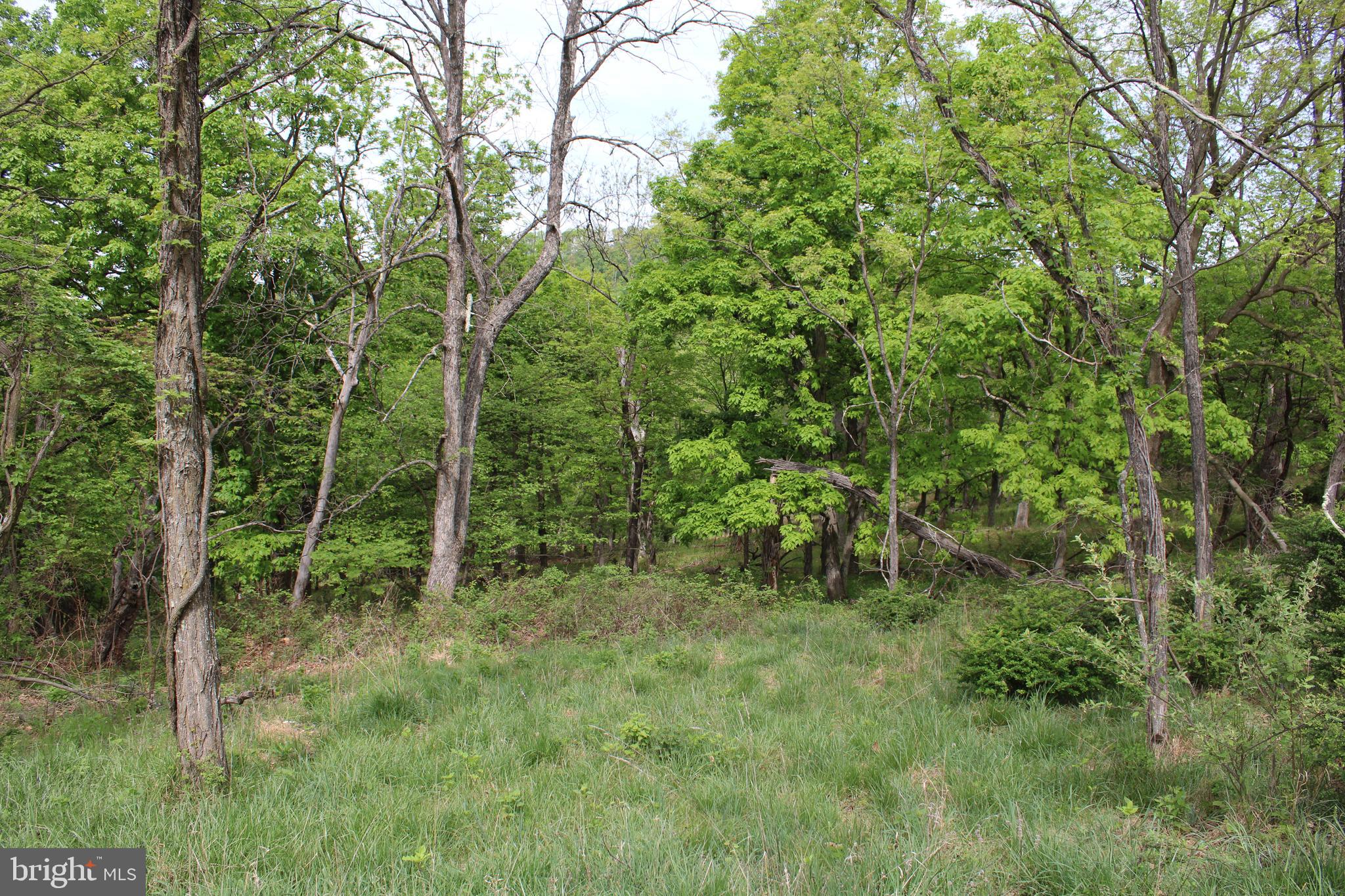 DEERFIELD HIGHLANDS - Land