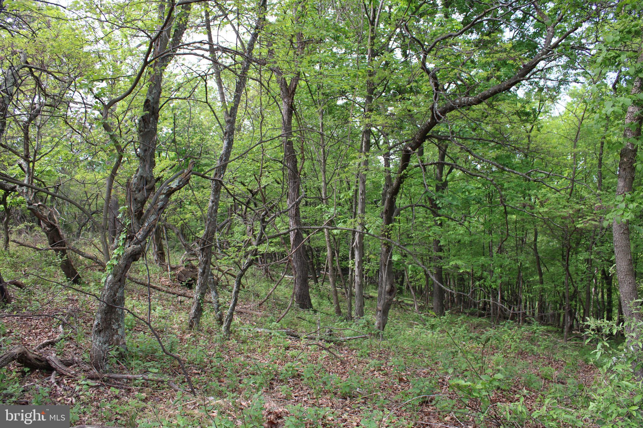 DEERFIELD HIGHLANDS - Land