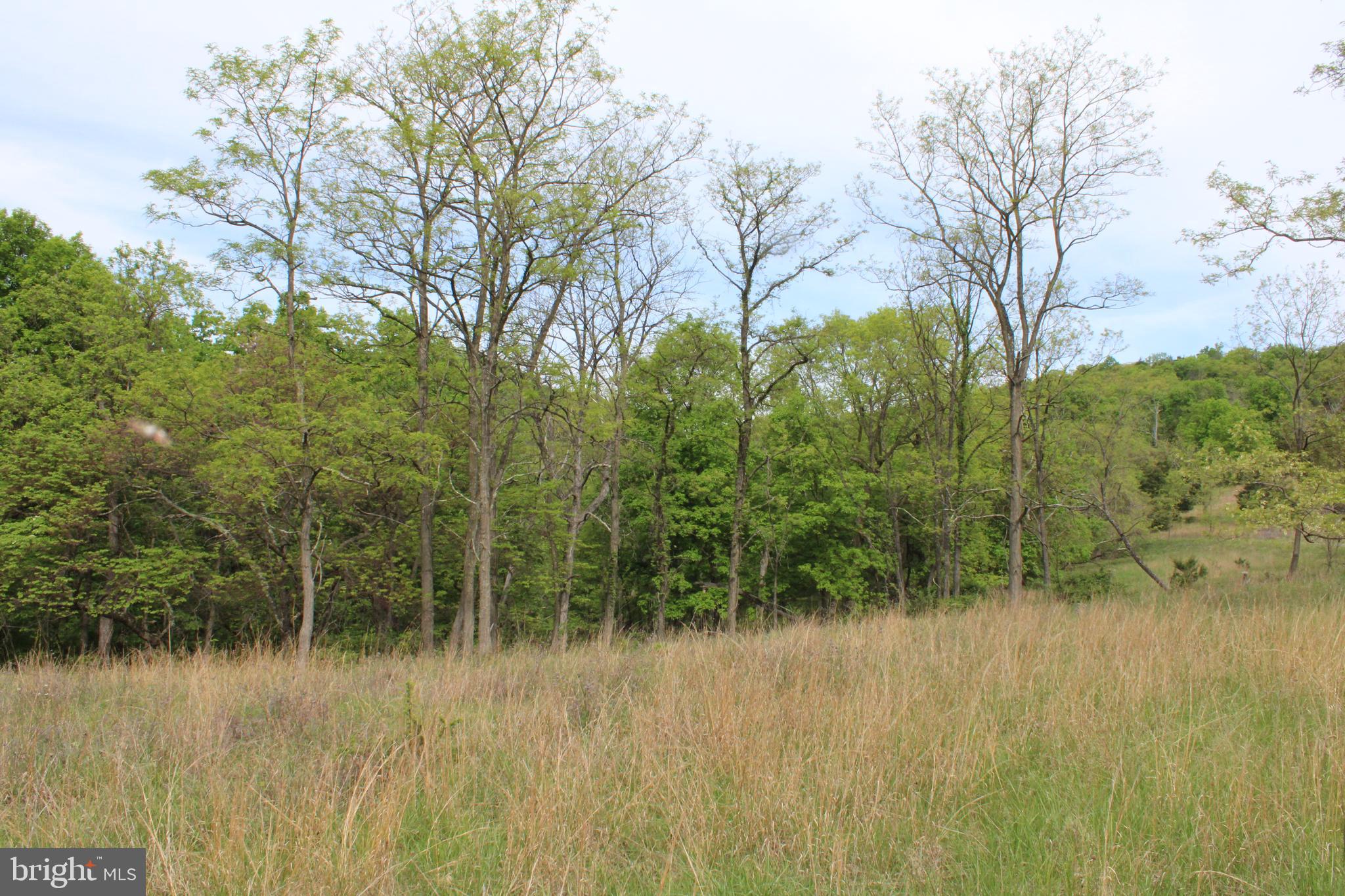 DEERFIELD HIGHLANDS - Land