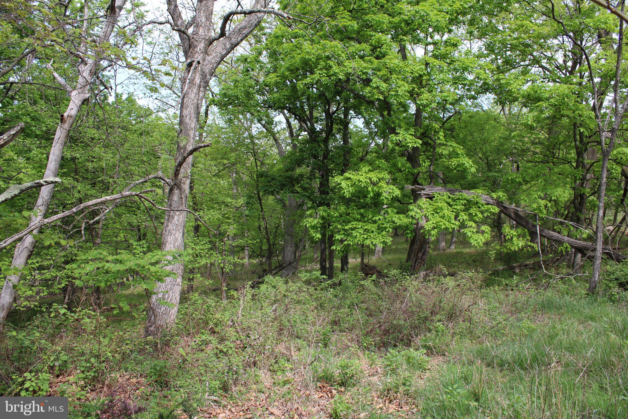 DEERFIELD HIGHLANDS - Land