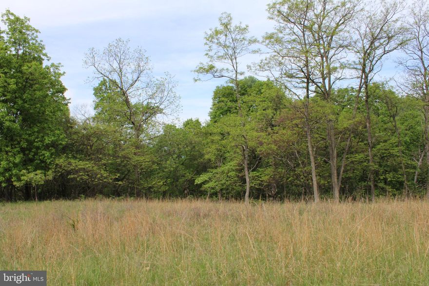 A solid opportunity for a weekend residence or a full-time relocation to West Virginia. This beautiful 5.07-acre parcel is located in Southern Hampshire County, boasting a natural home site and topography perfect for removing some trees and exposing a breathtaking long-range mountain view to the west. It's all here and easy. Situated at the epicenter of outdoor recreation and in close proximity to several public access points to the Potomac River, it serves as the ultimate launching point for adventures. Come see what full or part-time living in West Virginia is like. Conveniently located within an easy 2-hour drive of most anywhere in the DMV.