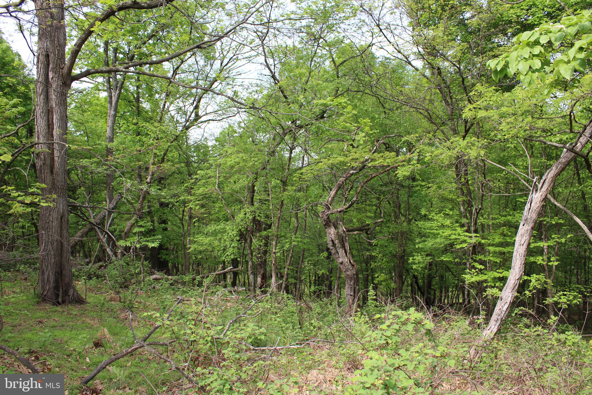 DEERFIELD HIGHLANDS - Land