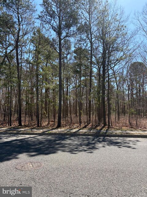 Photo of 1410 Cantillon Blvd, MAYS LANDING, NJ 08330 (MLS # NJAC2023840)
