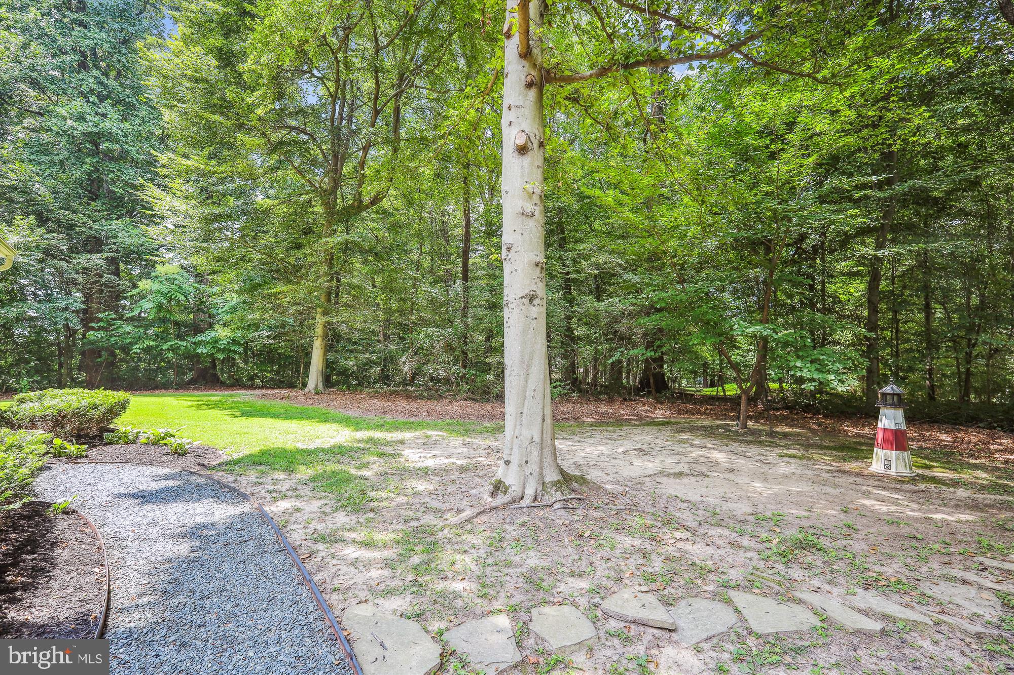 MCKENNEY FOREST - Residential