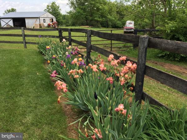 PEMBROKE GROVE - Residential