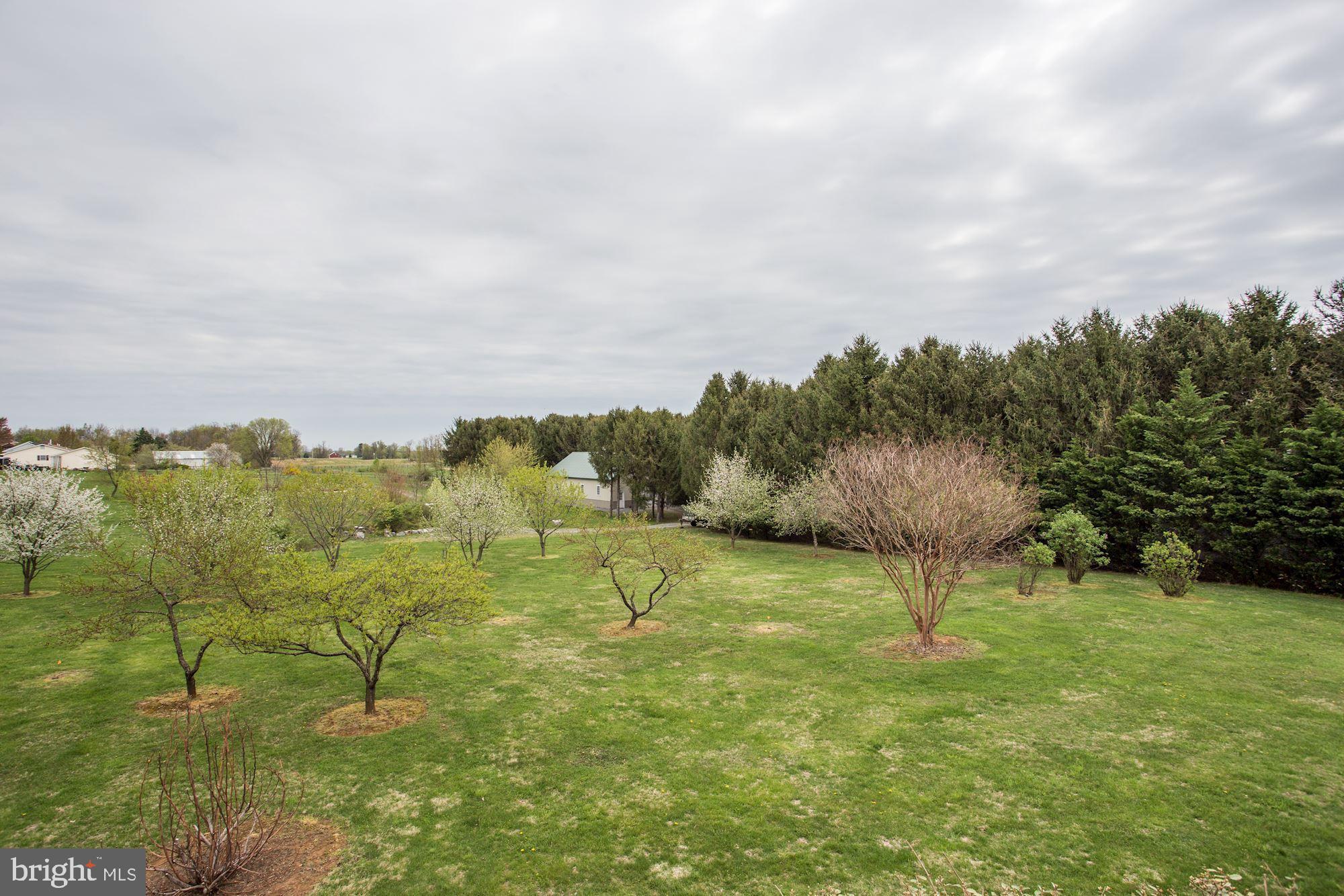 PEMBROKE GROVE - Residential