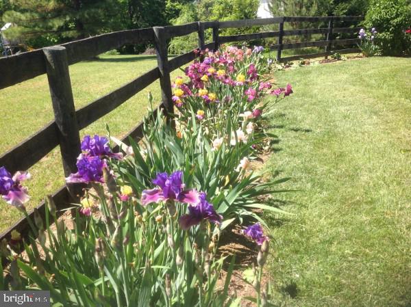 PEMBROKE GROVE - Residential