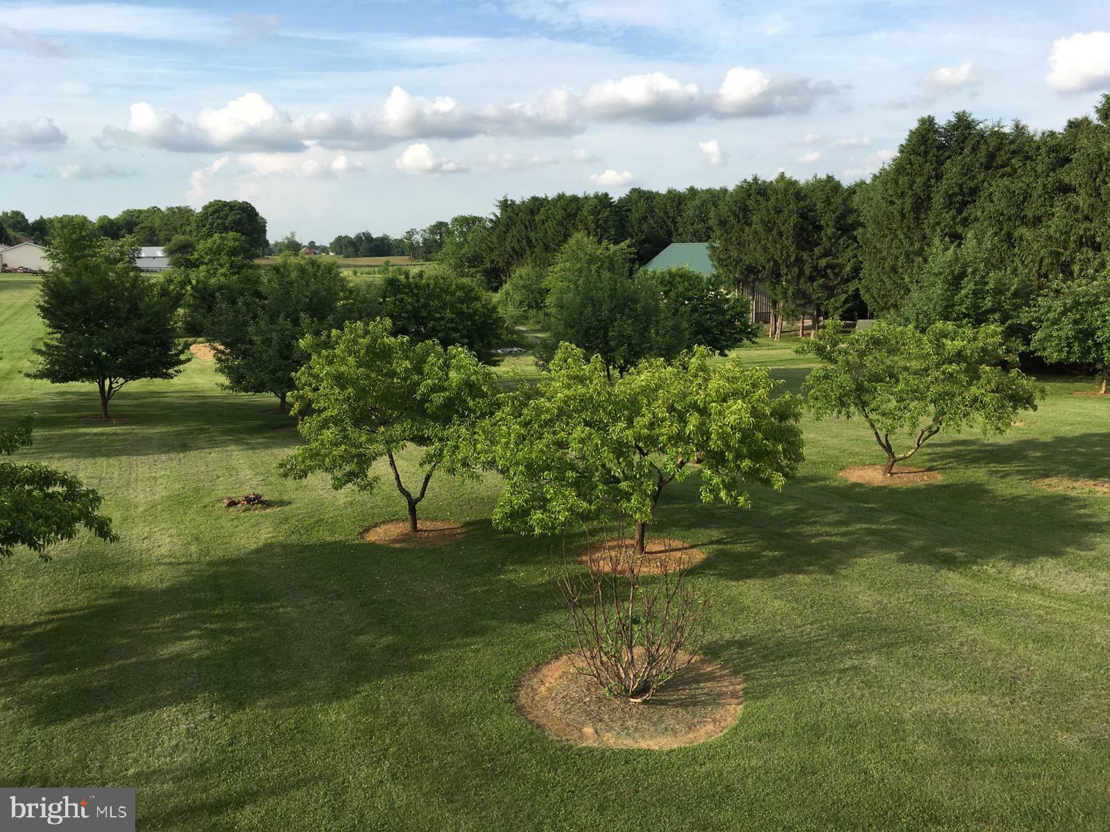 PEMBROKE GROVE - Residential