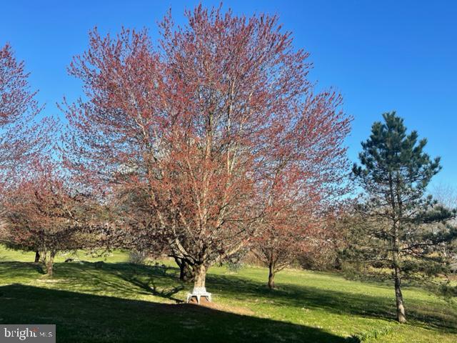 ST JAMES VILLAGE NORTH - Residential