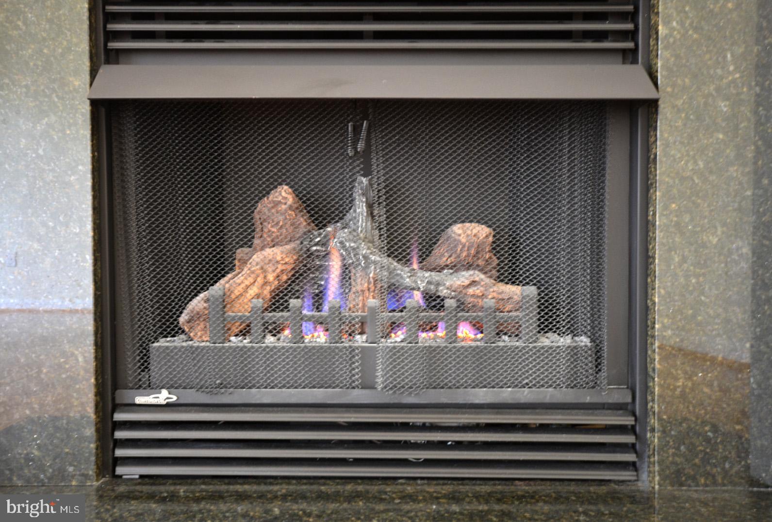 ANNE ARUNDEL - Residential Lease