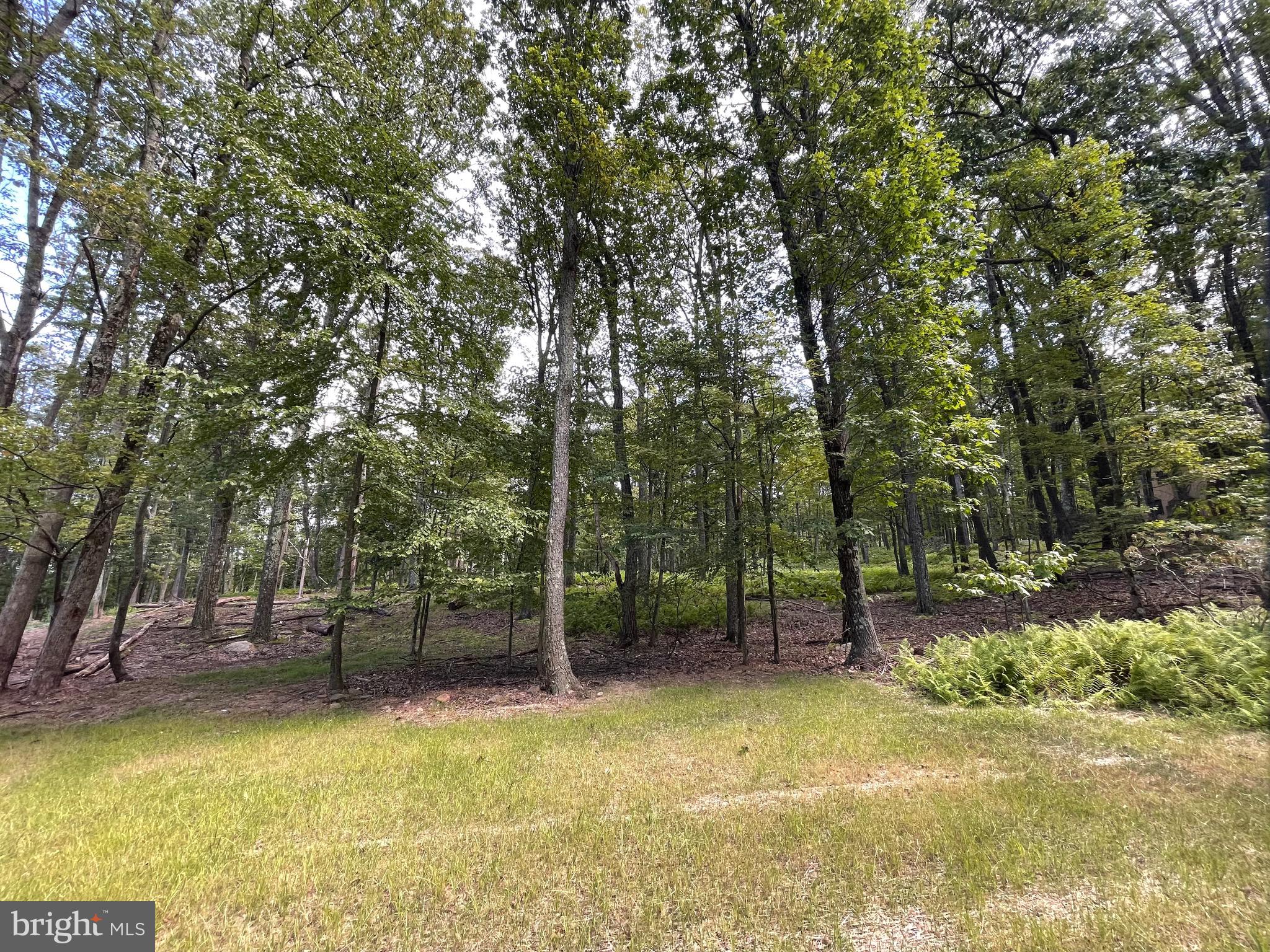 Beautiful lot at the edge of a cul-de-sac, that gently slopes upward to a level perch, just waiting for a home. Situated on a low-traveled street at the edge of the community with adjoining lot 49 Alpine also for sale. When the leaves fall from the trees you'll see views across the mountain! The home of your dreams is calling!!! The Cove Village Community is situated in the foothills of the Poconos and only 1 1/2 hours to New York, With easy access to I-81 your commute to Hazleton, Wilkes Barre, or Scranton is a breeze. Bring your own builder and let's get started. Another cost-saving perc of the community is having public water and sewer already in place and ready for you to connect through Aqua of Pa. 750 acres of unoccupied prime hunting, ATV, and snowmobile riding land surround the residential portion of Cove Village and is allocated only for the residents of the community and their guests! Driving through the community, the peace and tranquility will envelop you. At any given moment the deer, turkey, and birds will entertain you in your own backyard. Homes within the community vary from rustic cabins and chalets to traditional ranch or two-story homes and even exquisite new construction or dreamy mountain log homes. There really is something for everyone. The approximately 278 acres of residential homes and lots are occupied by full-time residents, part-time vacation homes, and even some snowbird second homes. Cove Village offers an abundance of amenities including a swimming pool, stocked fishing lake, a basketball court, tennis courts, a volleyball court, 2 playgrounds, a baseball field, ATV paths, hunting, a mini golf course, walking paths, and year-round Community events. I can't forget to mention the beautiful lodge ideal to rent for family gatherings. This lot and community just might be exactly what you've been looking for. Air B and B are not permitted. Camping on vacant lots is not permitted. Mobile homes are not permitted. The minimum square footage when building is 1400 square feet. The community maintains the roads and snow removal. Trash collection is also provided. Tax ID number and assessed value will be assigned by the county following closing. An appointment is required to view due to the gated community. Call to schedule your tour today!