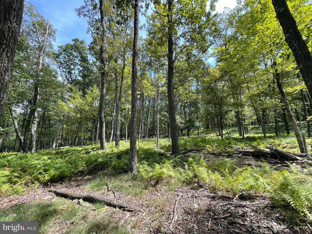 Photo of 50 Alpine Drive, ZION GROVE, PA 17985 (MLS # PASK2023142)