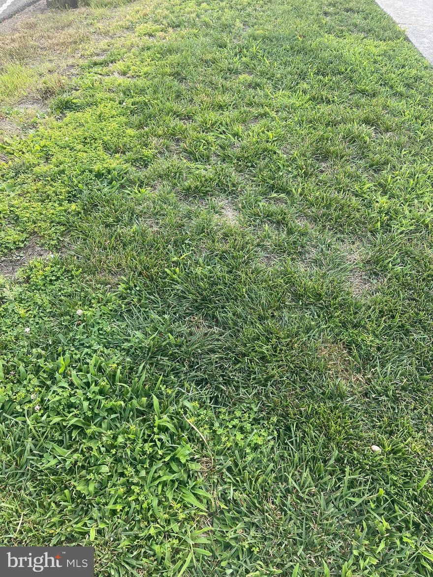 Vacant lot.   Due your due diligence and make an offer.