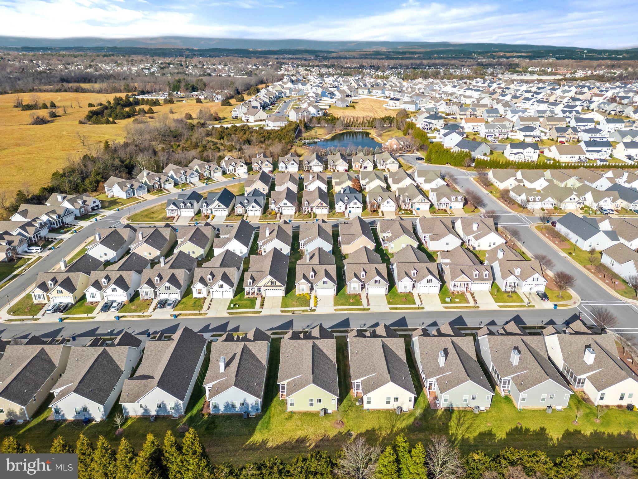 CEDAR MEADOWS - Residential