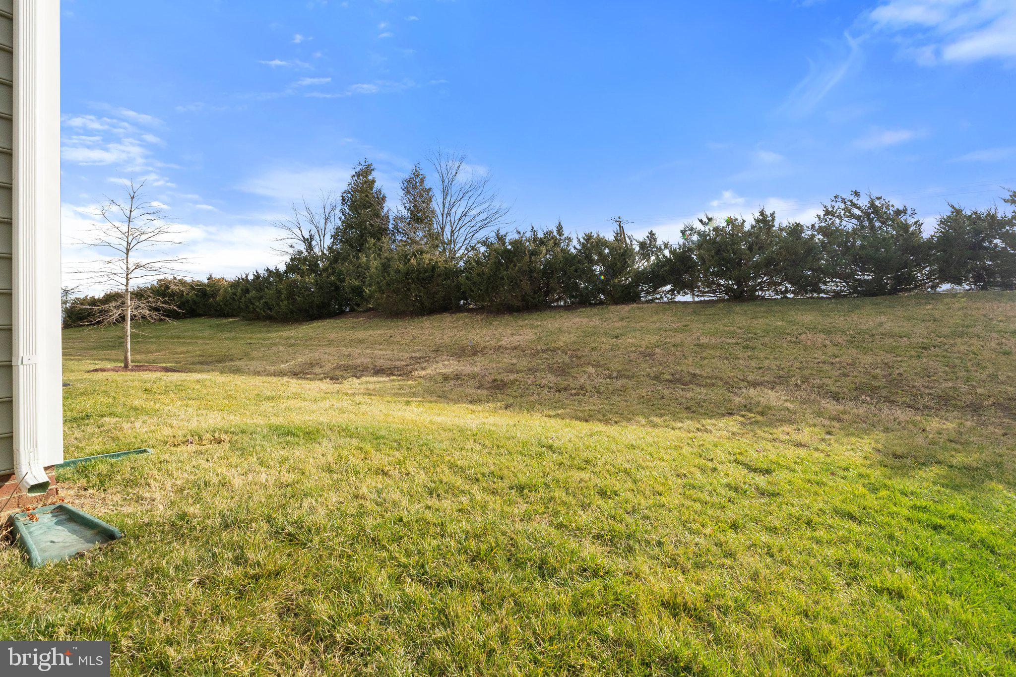 CEDAR MEADOWS - Residential