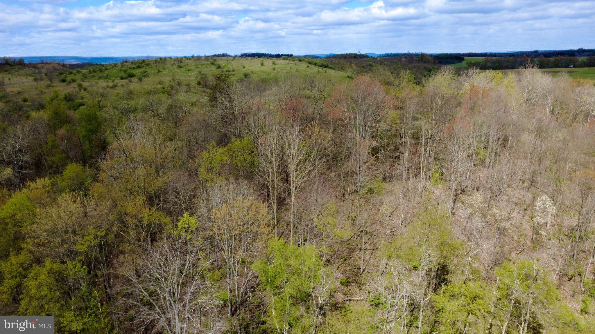 Lot on CALDWELL ROAD