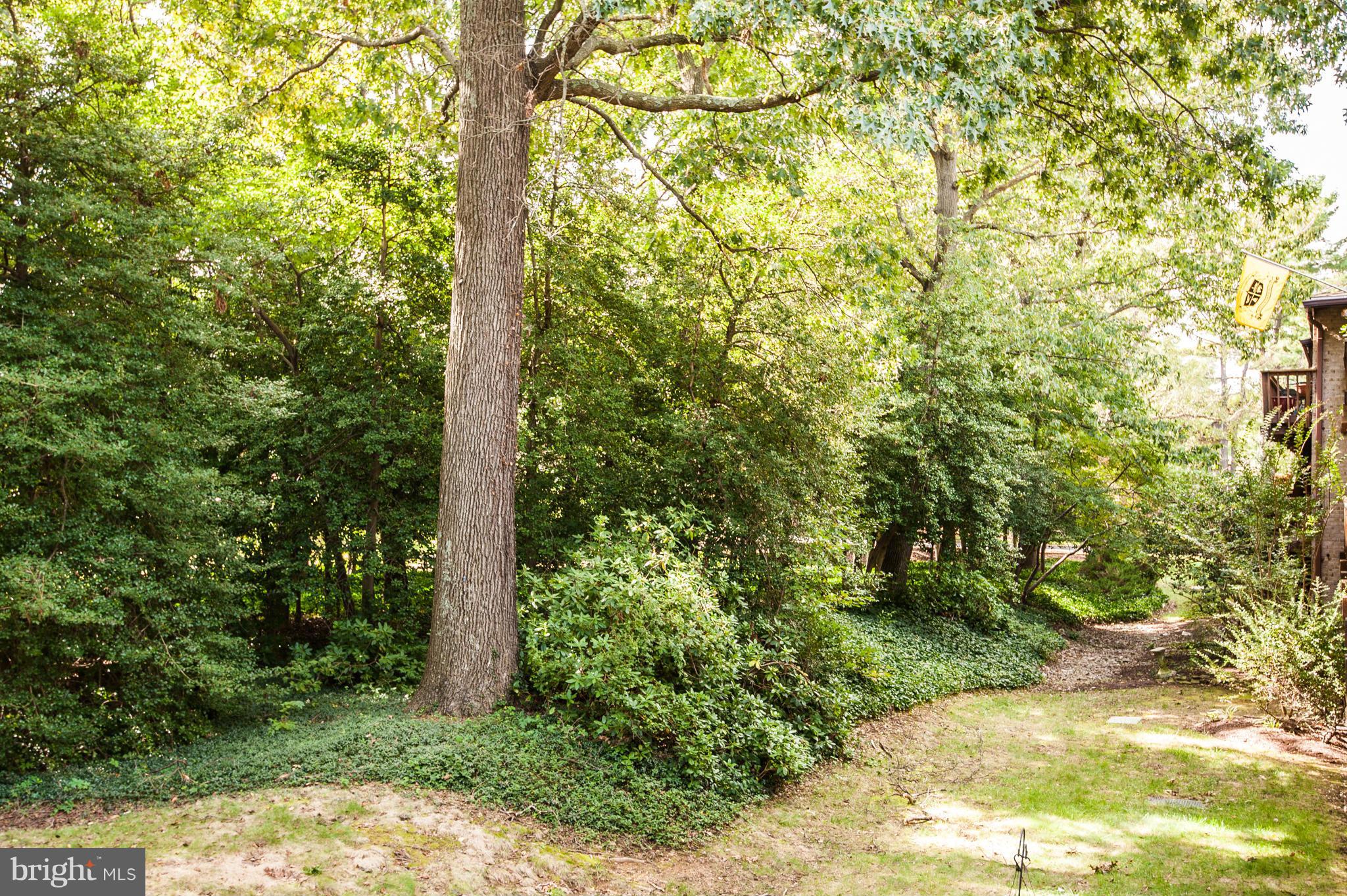 SEVERN HOUSE - Residential Lease