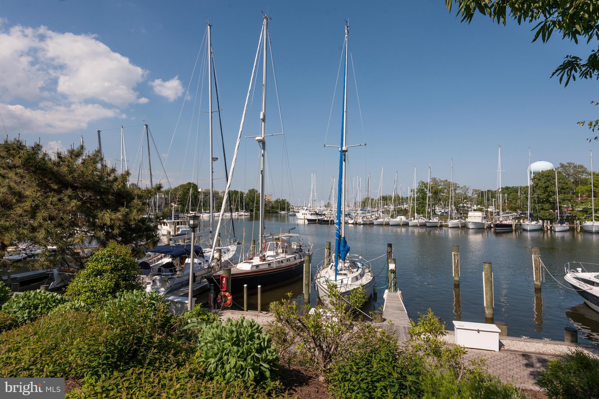 SEVERN HOUSE - Residential Lease