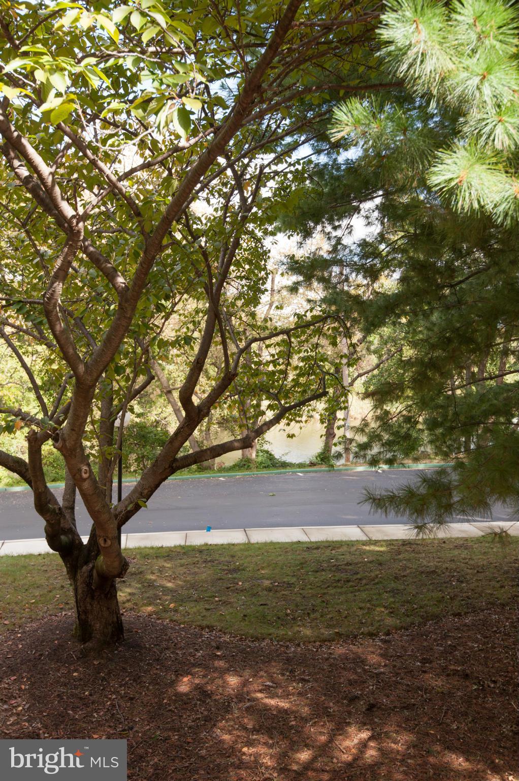 SEVERN HOUSE - Residential Lease