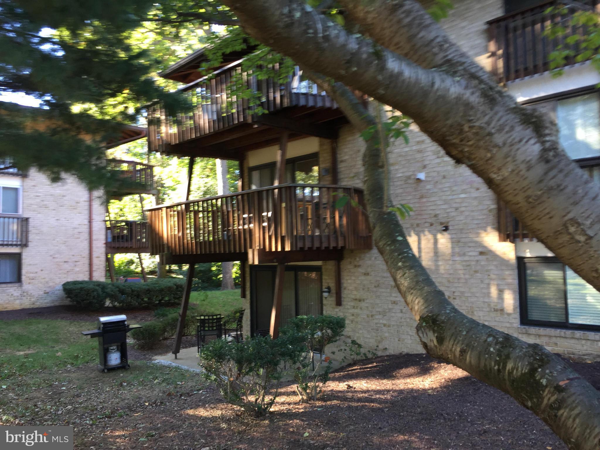 SEVERN HOUSE - Residential Lease