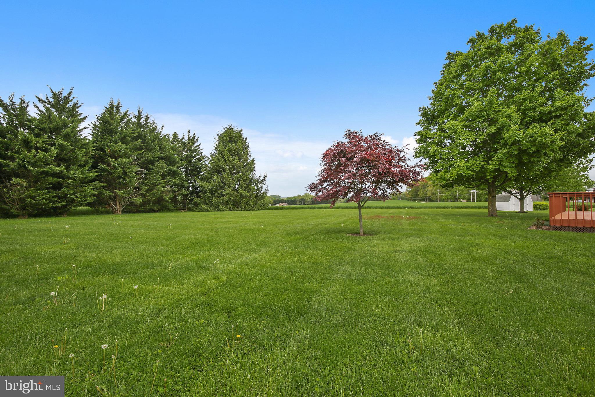 WHITE HALL - Residential