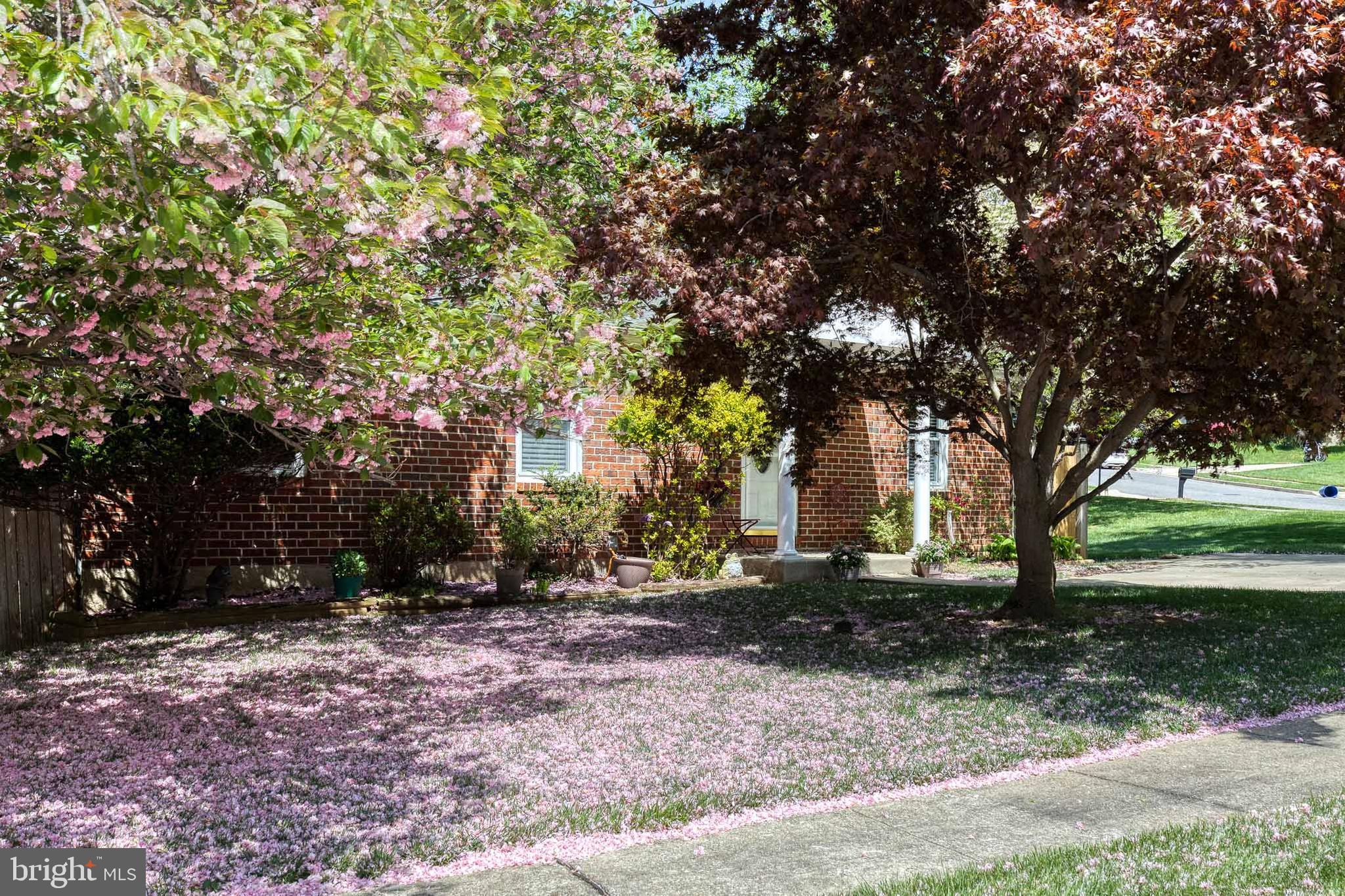 DONCASTER VILLAGE - Residential